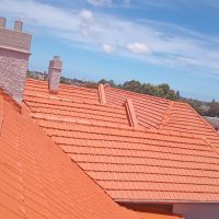 WhatsApp Image 2026-01-13 at 2.46.41 PM