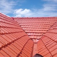 WhatsApp Image 2026-01-13 at 2.46.42 PM (2)