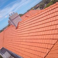 WhatsApp Image 2026-01-13 at 2.46.42 PM