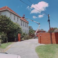 WhatsApp Image 2026-01-13 at 2.46.43 PM (2)